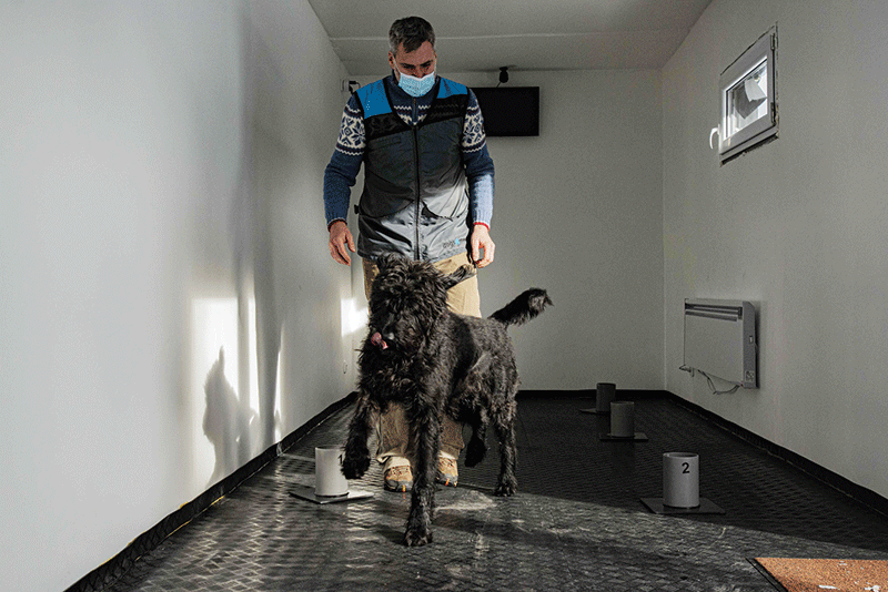 KLINY, Czech Republic: Head of the project Gustav Hotovy stands behind his big Schnauzer dog inside the training center for COVID-19 sniffing dogs located inside a ship container on Jan 22, 2021. - AFP n