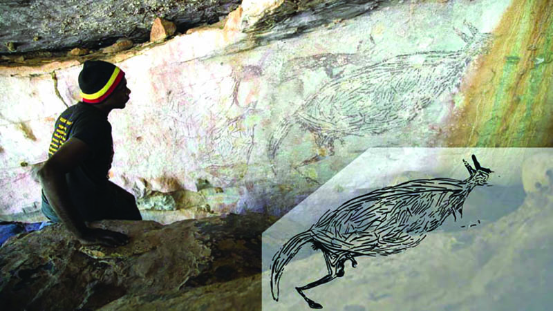 Traditional owner Ian Waina inspecting a painting of a kangaroo that is at least 12,300 years old, based on the age of wasp nests over the paint.-www.abc.net.aun