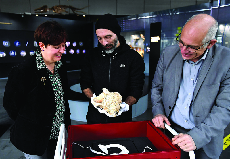 French director of the Museum of Natural History, Francis Duranthon (right), assistant Guillaume Fleury, and archaelogist and CNRS researcher Carole Fritz (left) stand by a Charonia lampas trumpet shell, which was first found in 1931 in an archaeological dig at the mouth of the Marsoulas Cave, at the museum in Toulouse.-AFP n