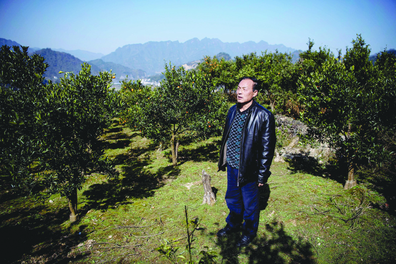 BAOJING, China: This picture shows farmer Liu Qingyou at his orange orchard in Baojing County, in central China's Hunan province.-AFP n