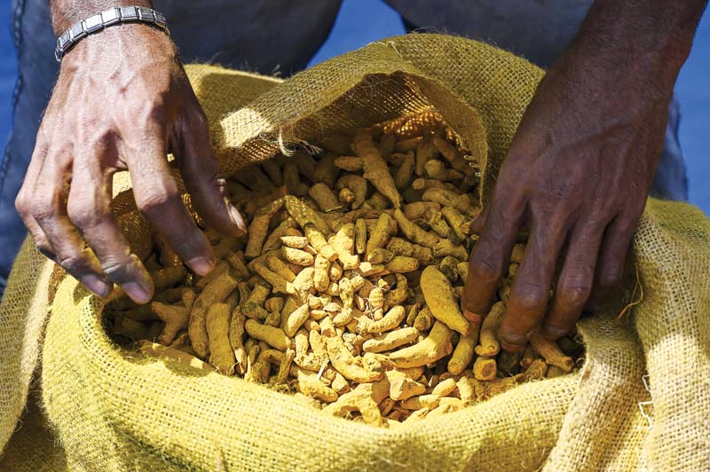 In this picture, customs officials examine turmeric imported illegally into Sri Lanka at a warehouse in Colombo. An import ban in cash-strapped Sri Lanka is leaving a bad taste in the mouths of its curry-lovers, depriving them of vital turmeric supplies and encouraging budding smugglers to take their chances with the spice. - AFPn