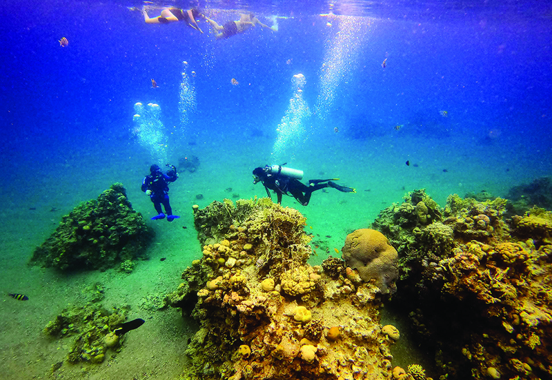 Scuba divers approach a coral reef while on a dive in the Red Sea waters off the coast of Eilat on Feb 9, 2021. - AFP n