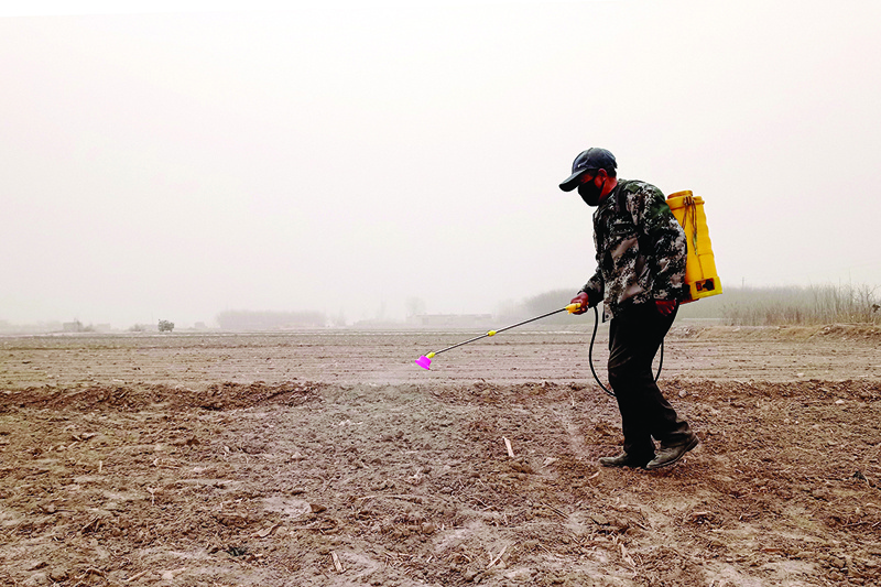 ZHANGYE, China: A farmer sprays pesticide over a field on a polluted day in northwestern China's Gansu province yesterday. - AFP n