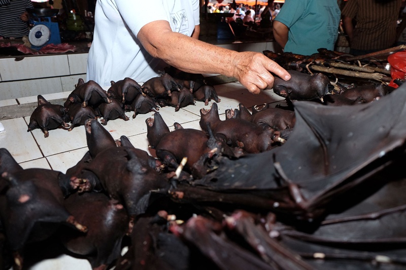 TOMOHON, Indonesia:  This file photograph taken on Feb 8, 2020 shows a vendor selling bats at the Tomohon extreme meat market on Sulawesi Island, where bats, rats and snakes are sold. – AFP n