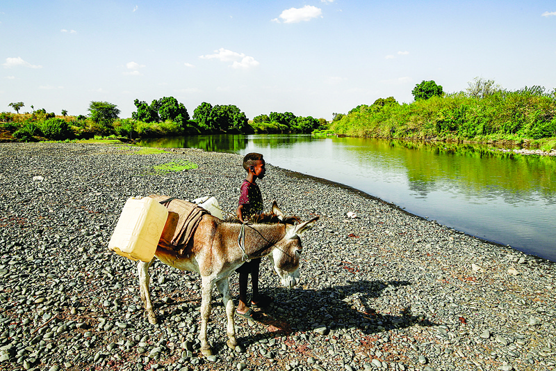 A boy stands next to a donkey loaded with jerry cans by the Atbarah river near the village of Dukouli within the Quraysha locality, located in the Fashaqa Al-Sughra agricultural region of Sudan's eastern Gedaref state. - AFPn