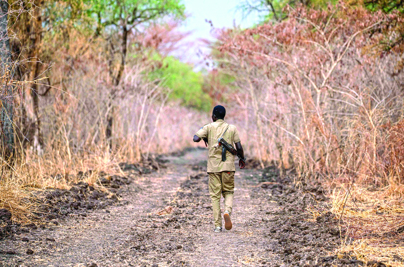A ranger patrols in the Dinder National Park, about 400 kms southeast of the Sudanese capital.-AFP n