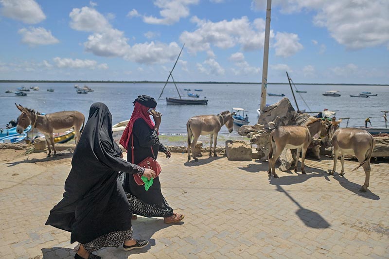 Islanders walk past donkeys tethered on the causeway as their owners wait to get transportation work at the historic island town of Lamu.-AFP photosn