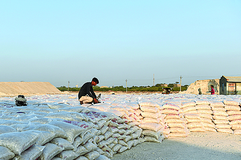 AHMEDABAD: A laborer packing salt at a factory in Kharaghoda village near the Little Rann of Kutch (LRK) region, some 120 km from Ahmedabad. - AFPn
