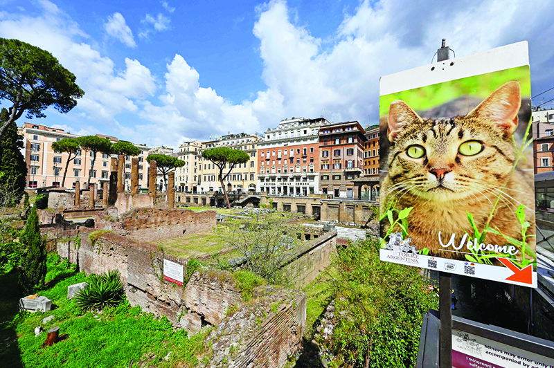 Views show the Largo Argentina archaeological site in central Rome. -AFP photosn