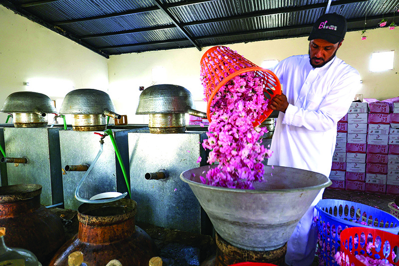 A worker at the Bin Salman farm, fills a distiller with freshly picked Damascena (Damask) roses.