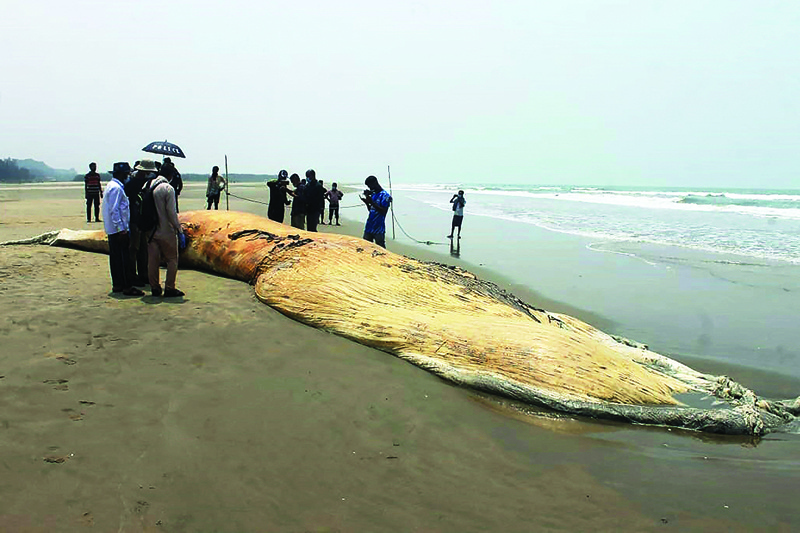COX'S BAZAR: People gather around a dead whale washed ashore on a beach in Cox's Bazar yesterday. -AFPn