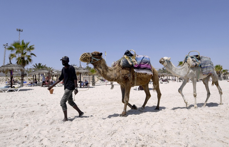 A man pulls camels at the beach in the Tunisian Mediterranean resort of Sousse.—AFP photosn