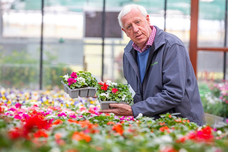 BELFAST: Owner Robin Mercer poses amongst flowering plants in a greenhouse at Hillmount Garden Centre in east Belfast where problems have arisen since the post-Brexit 'protocol' with seeds and plants from the UK proving harder to obtain. - AFPn