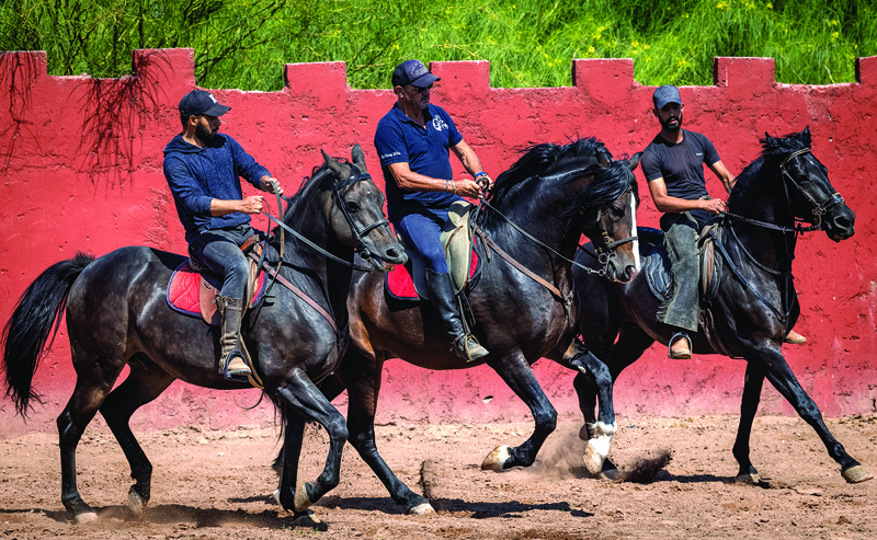 French horse master Joel Proust (center) rides horses during a training session with his team in the Moroccan city of Marrakesh.-AFP photosn