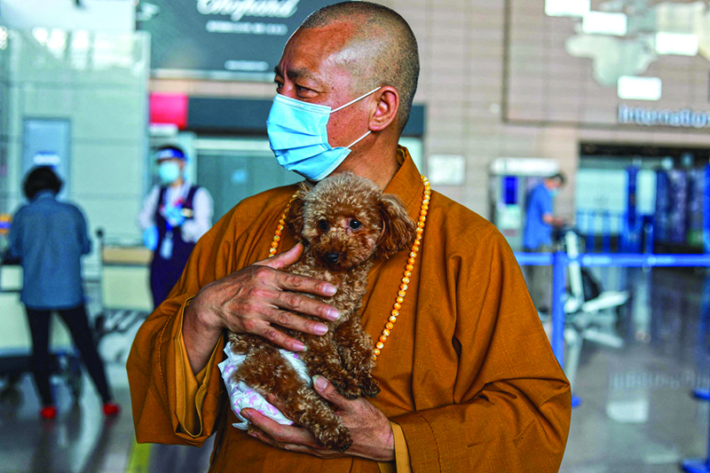 This picture taken on May 26, 2021 shows Buddhist monk Zhi Xiang carrying a rescued dog before sending him to the US at Pudong International Airport in Shanghai. – AFP photosn