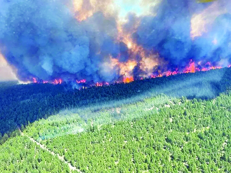 KAMLOOPS, BRITISH COLUMBIA: This handout photo courtesy of BC Wildfire Service shows the Sparks Lake wildfire, British Columbia, seen from the air. - AFPnnn