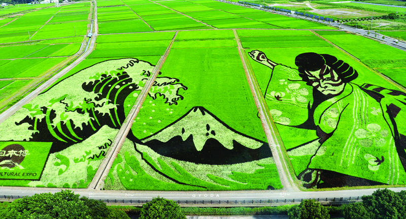 This aerial photograph shows a huge, living installation featuring iconic Japanese images of the famous wave and Mount Fuji of Katsushika Hokusai’s woodblock print (left) and a Kabuki actor (right) in striking facepaint, similar to one that featured at the Olympic opening ceremony, in fields using various shades of rice plants in Gyoda, Saitama prefecture. – AFP n