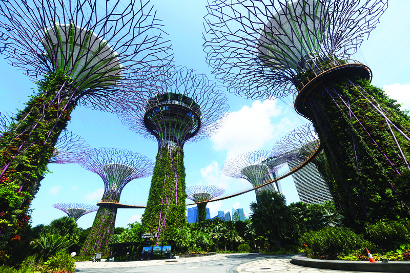 This photograph shows a view of the Supertrees at Gardens by the Bay in Singapore. — AFP photosn