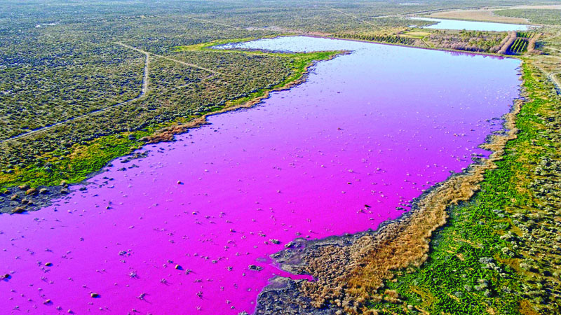 Aerial view of a lagoon that turned pink due to a chemical used to help shrimp conservation in fishing factories near Trelew, in the Patagonian province of Chubut, Argentina, on July 23, 2021. – AFP photosn