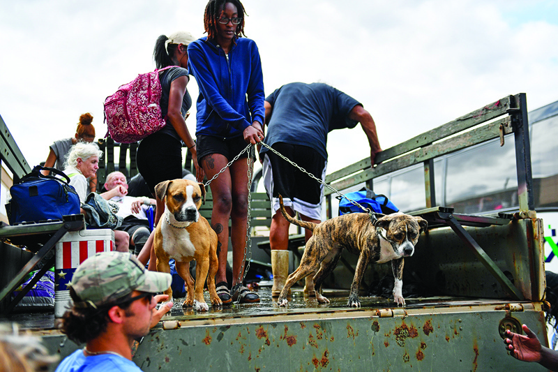 LAPLACE, US: An owner holds onto two dogs as they exit a high water truck assisting people evacuate from their homes after their neighborhood experienced flooding in LaPlace, Louisiana on Monday. - AFPn