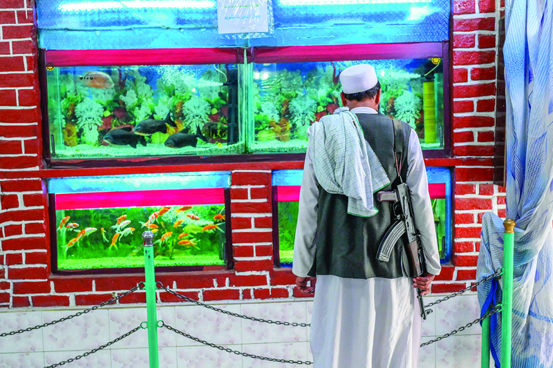 A Taleban fighter looks at an aquarium at the Kabul Zoo.—AFP photosn