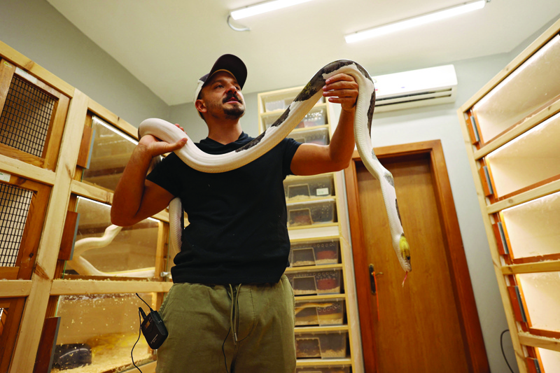 Faisal Malikah carries a Reticulated Python at his house in the Saudi Red Sea resort of Jeddah.-AFP photosn