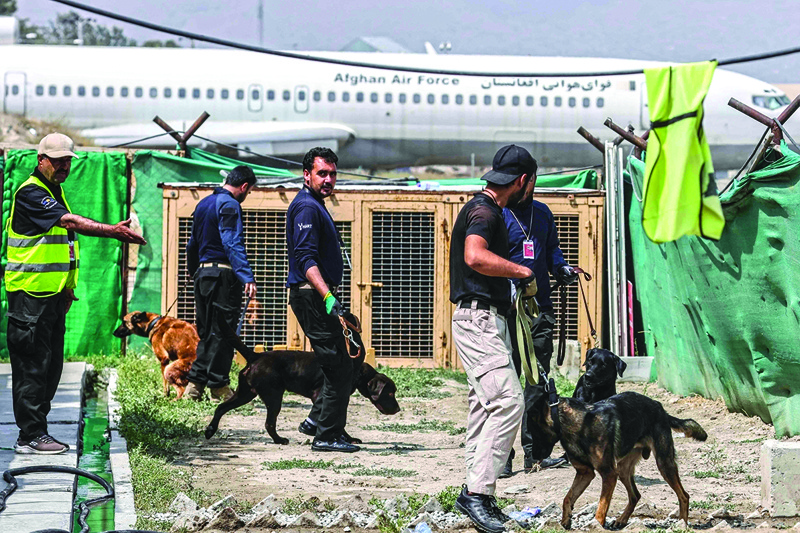 This picture shows handlers training dogs which were left behind during last month's chaotic evacuations from Afghanistan, in a makeshift training center at the airport in Kabul.—AFP photosn