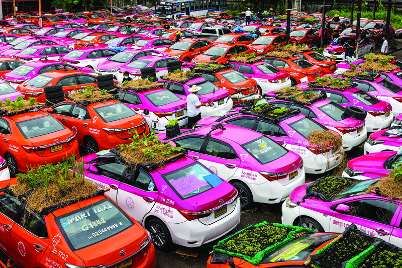 Vegetable gardens are seen on the roofs of vehicles of a taxi rental garage firm, whose cars are currently out of service due to the downturn in business as a result of the COVID-19 coronavirus pandemic, in Bangkok.—AFP photos n