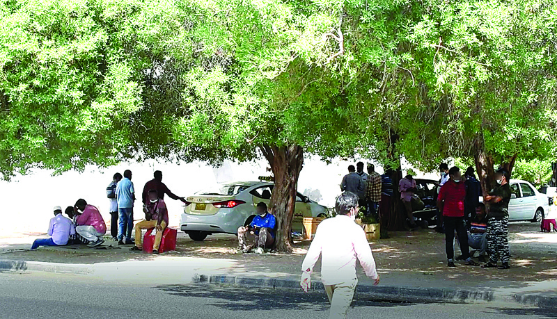 KUWAIT: This archive photo shows people resting under a tree near a worksite in Kuwait. The photo is used for illustration purpose only.n