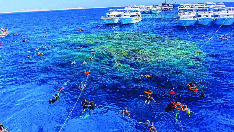 Local and foreign tourists snorkel in the Red Sea waters above a coral reef near Egypt's Red Sea resort city of Sharm El-Sheikh at the southern tip of the Sinai peninsula. The Red Sea is home to some 209 different types of coral reefs, according to Egypt's environment ministry. - AFP photosn