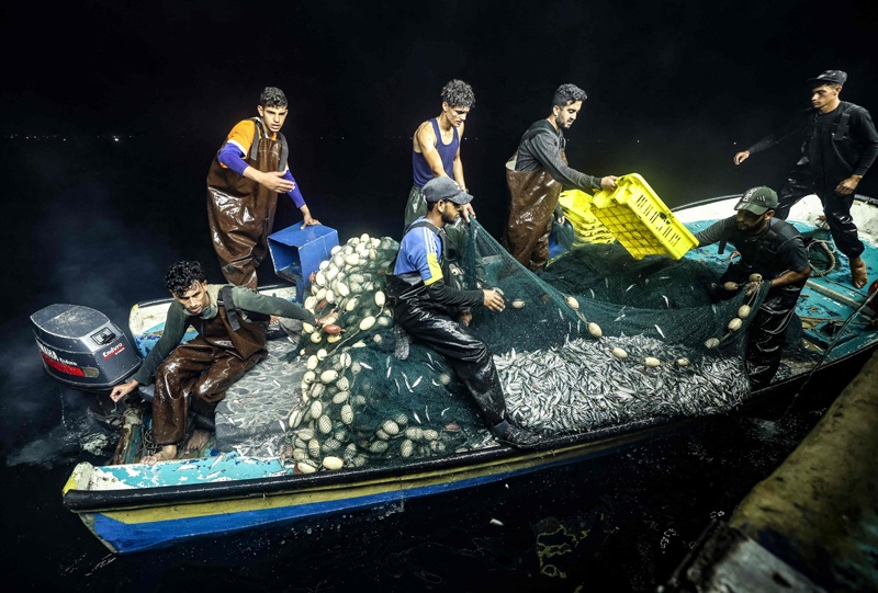 GAZA: Palestinian fishermen unload their catch from a boat upon their return to the coastline of Gaza City on Sept 22, 2021. - AFP n