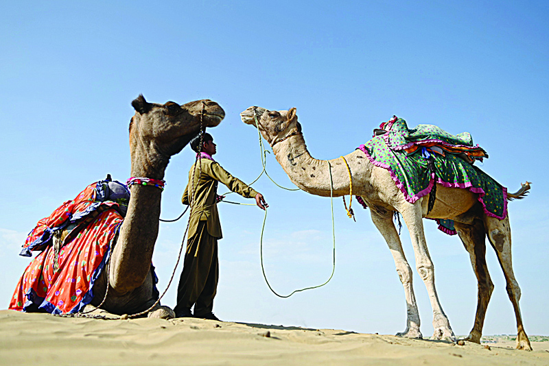 A camel owner waits for tourists in the sand dunes of Thar Desert at Sam village in India's Rajasthan state yesterday.-AFPnn