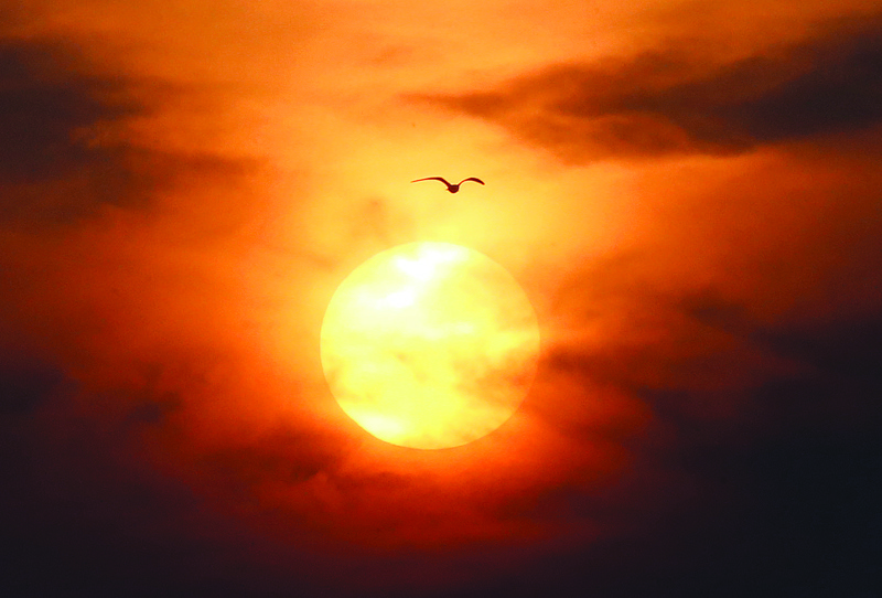 KUWAIT: A bird is seen flying over the sun during sunset in Kuwait yesterday. - Photo by Yasser Al-Zayyat n