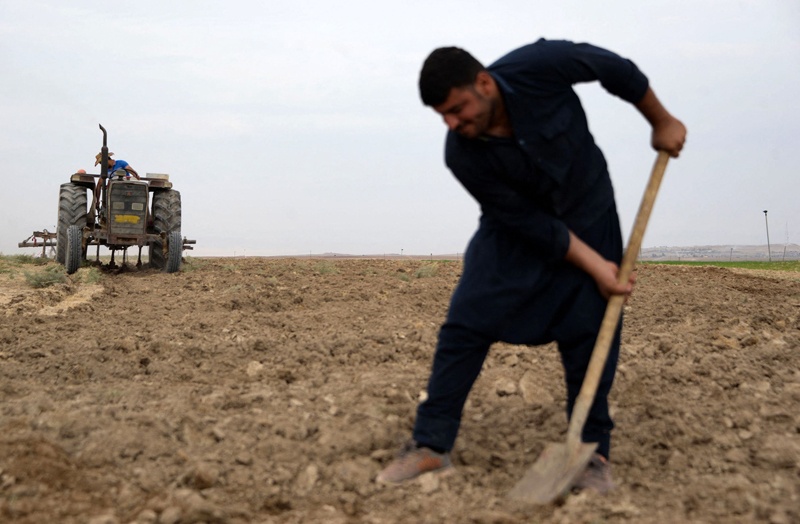 TEL KAIF, Iraq: A farmer works on agricultural land on the outskirts of this town north of Mosul on Oct 26, 2021. - AFP n