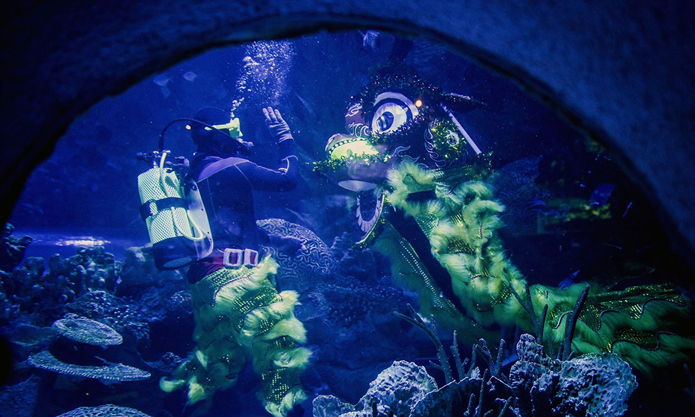 A diver (right) performs an underwater lion dance at the Aquaria KLCC oceanarium in Kuala ahead of the Lunar New Year, which marks the Year of the Tiger. — AFP photos