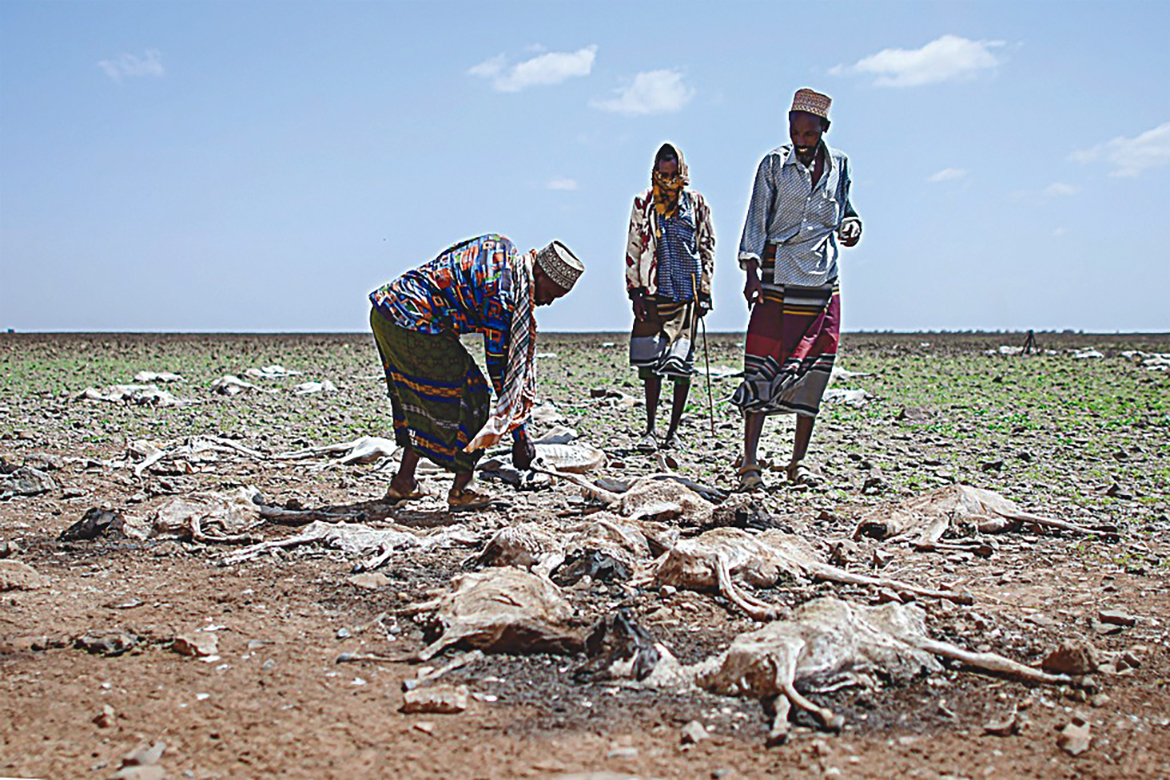 MARSABIT, Kenya: Pastoralists from the local Gabra community walk among carcasses of some of their sheep and goats on the outskirts of a small settlement called 'Kambi ya Nyoka' (snake camp) suspected to have succumbed due to sudden change in climate in Marsabit county.-AFP