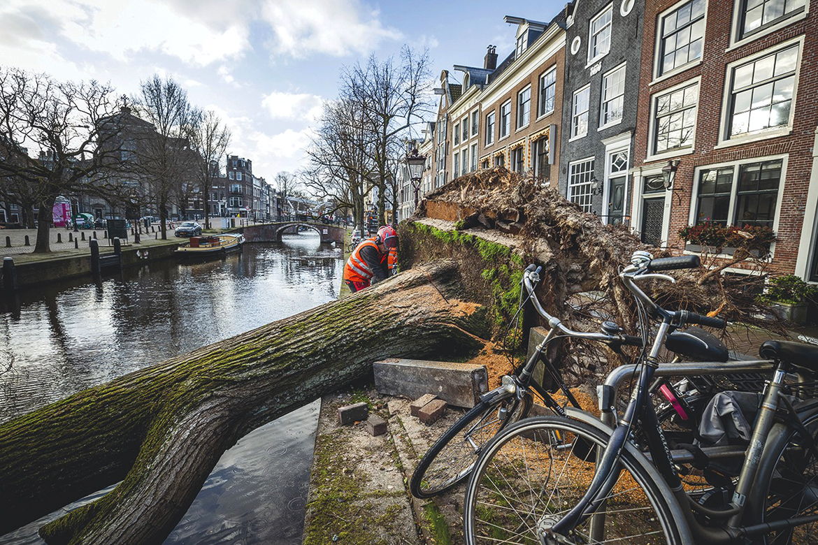 AMSTERDAM: Municipal employees clean up a fallen tree on Reguliersgracht in Amsterdam yestyerday as storm Eunice hit Northern Europe, killing at least 13 people. - AFP