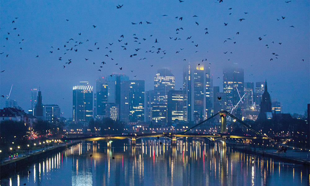 FRANKFURT: Crows fly over the skyline of the high-rise buildings of the banking district of Frankfurt am Main, western Germany, on early morning yesterday. —AFP