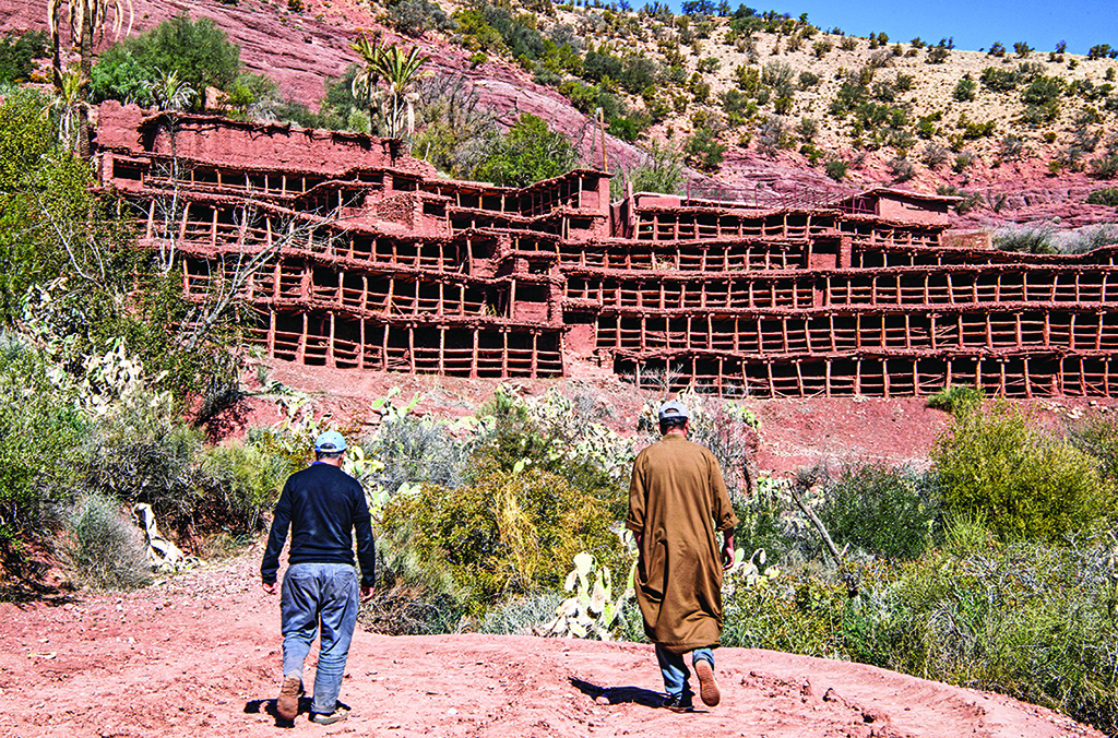 In this file photo beekepers walk towards the Inzerki Apiary in the village of Inzerki, 82 km north of Agadir, in the Souss-Massa region.—AFP photos