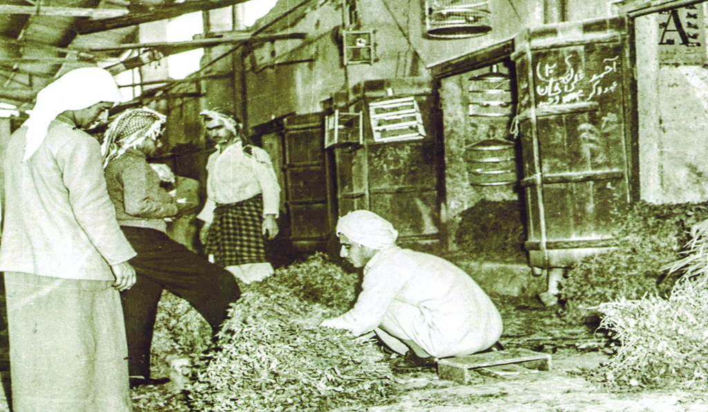KUWAIT: A picture dated to the early 1960s shows Al-Falfa market which sold animal feed that was imported from Basra. (Source: Collection of Ali Al-Rais, center of research and studies on Kuwait, 2017. Prepared by Mahmoud Zakaria Abu Alella, heritage researcher at the Ministry of Information)