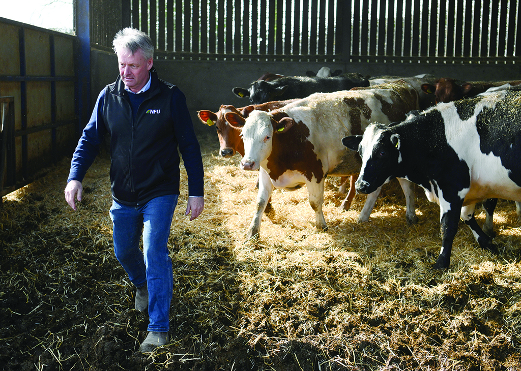ITCHINGFIELD, UK: National Farmers' Union of England and Wales Vice President and owner of Westons Farm Dave Exwood, walks among his cows in their feeding area at the Westons Farm, in Itchingfield, south England, on March 28, 2022.- AFP