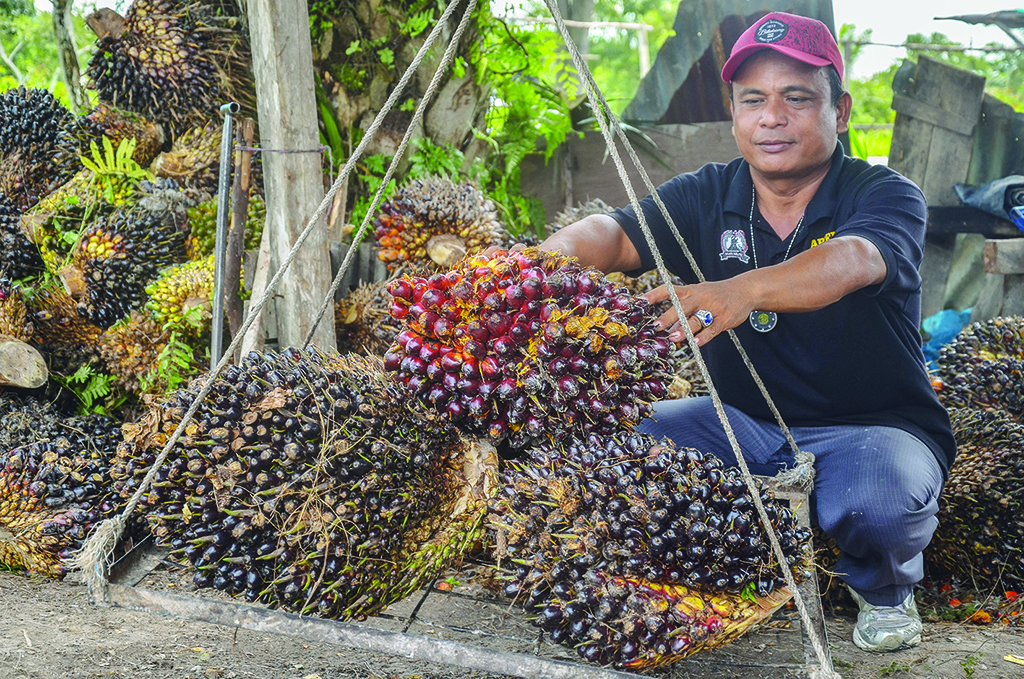 PEKANBARU, Indonesia: A worker weighs palm oil seed in Pekanbaru, Riau province on April 28, 2022. - AFP