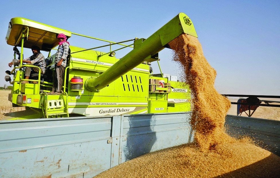 NEW DELHI: India, the world's second-largest wheat producer, says that factors including lower production and sharply higher global prices meant it worried about the food security of its own 1.4 billion people.