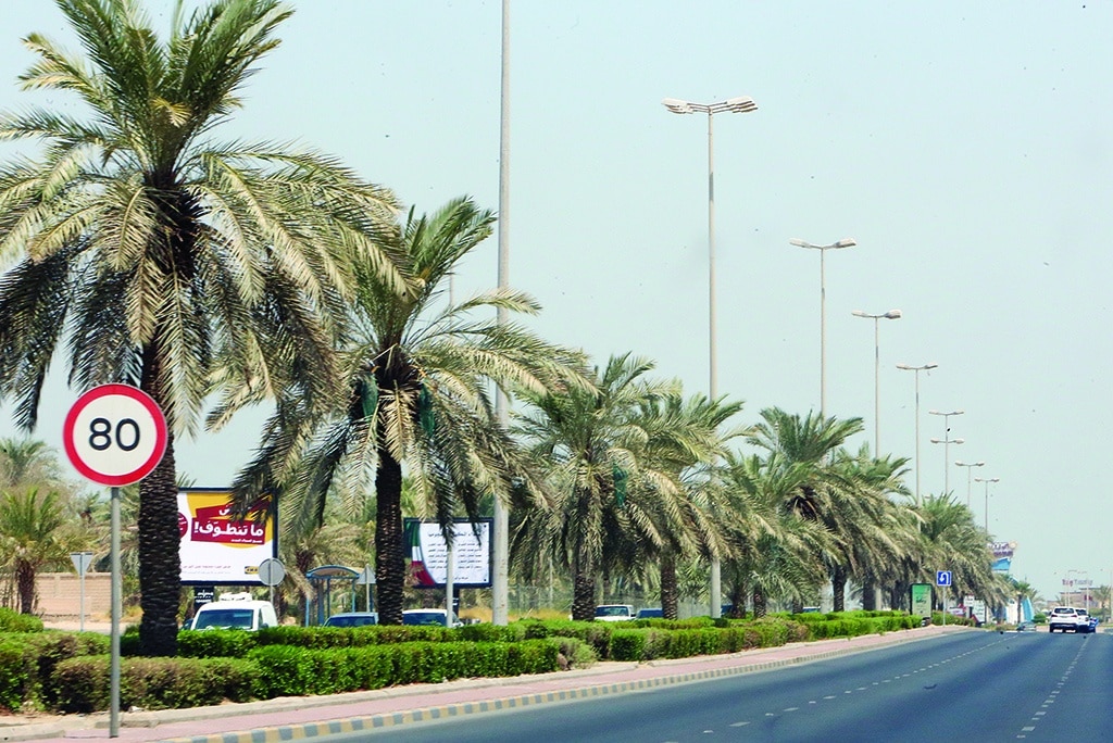 KUWAIT: Palm trees lined up on the side of a main road Kuwait in this file photo. - Photo by Yasser Al-Zayyat