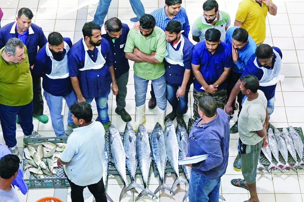 KUWAIT: People shop at a fish market in Kuwait City on June 1, 2022. The Public Authority for Agricultural Affairs and Fish Resources (PAAAFR) announced on Wednesday the mead fishing season started on June 1, according to ministry decree 245/2022. The season continues till the end of November. Since 2017, the mead fishing season always starts on July 1, but this year it started earlier. - Photos by Yasser Al-Zayyat