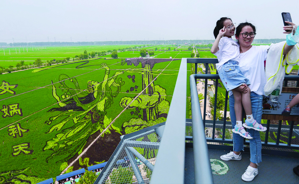 SHENYANG: This aerial photo shows tourists visiting a paddy with images created by growing different varieties of rice in Shenyang in China's northeastern Liaoning province. - AFP