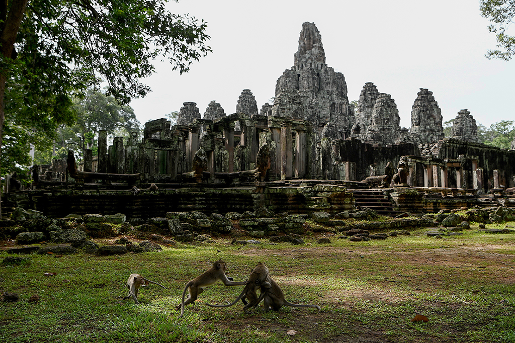 This photo shows macaque monkeys next to Bayon Temple in Angkor Park in Siem Reap province. – AFP photos