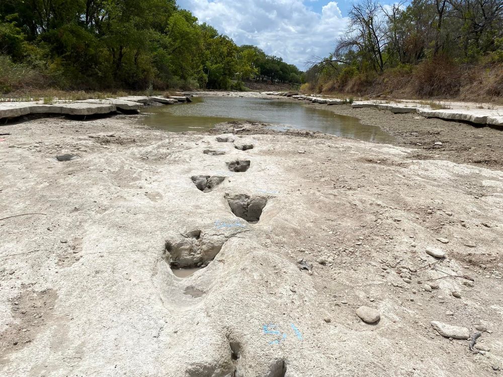 GLEN ROSE: This handout image obtained on August 23, 2022 courtesy of the Dinosaur Valley State Park shows dinosaur tracks from around 113 million years ago, discovered in the Texas State Park after a severe drought conditions that dried up a river. - AFP