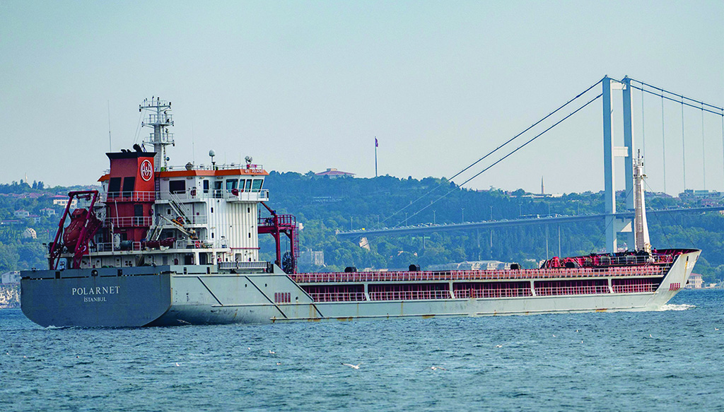 ISTANBUL: Turkish-flagged ship Polarnet carrying tons of grain from Ukraine sails along the Bosphorus Strait past Istanbul on August 7, 2022, after being officially inspected. - AFP