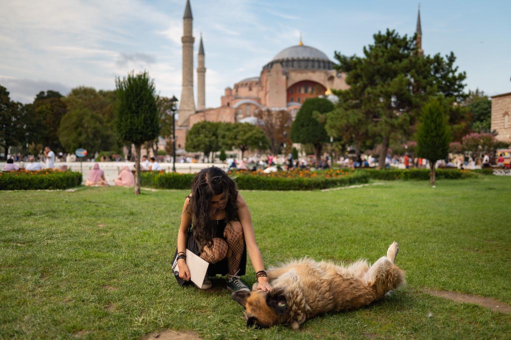 A woman strokes a stray dog in front of Hagia Sophia mosque in Istanbul.— AFP photos